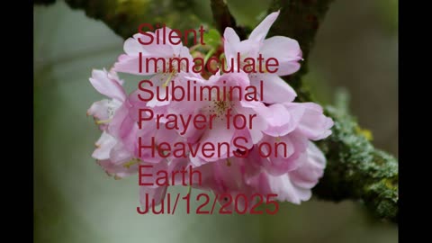 Silent Immaculate Subliminal Prayer for HeavenS on Earth Jul-12-2025