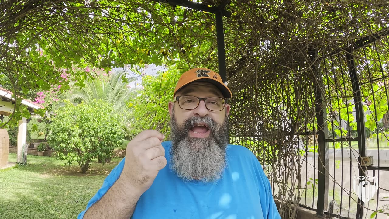 Nicaragua Expat Phone Example for Work Calling 🇳🇮