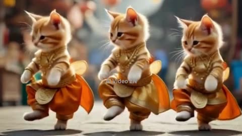 Cute cats are dancing beautifully