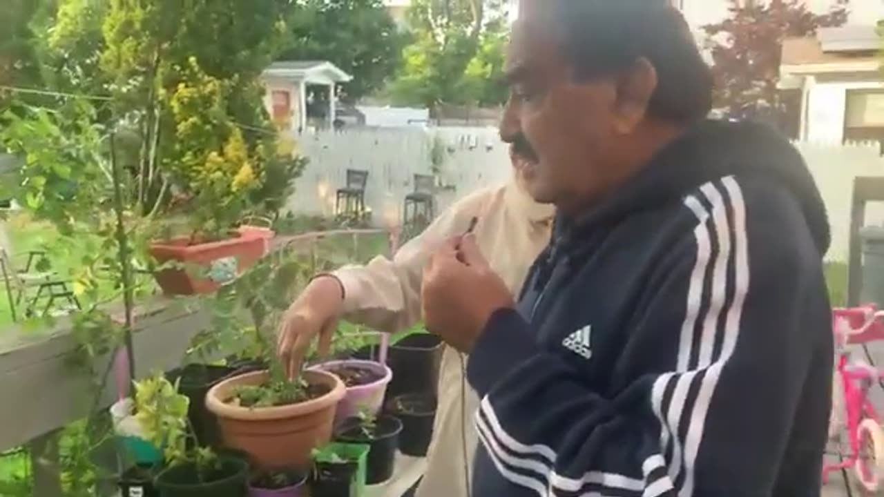 Home Gardening Visit With Aftab Aalam