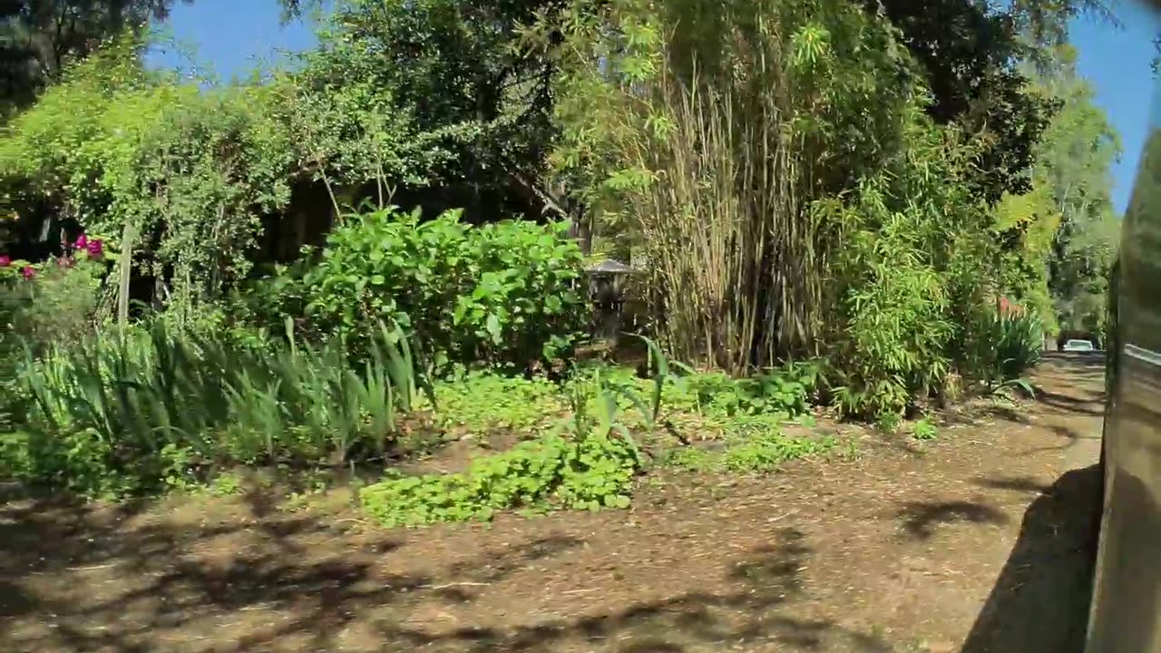 Buttner Rd Right Cam