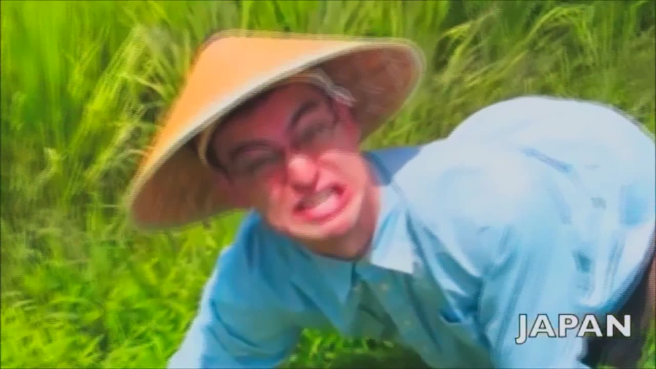 Welcome to the Ricefields