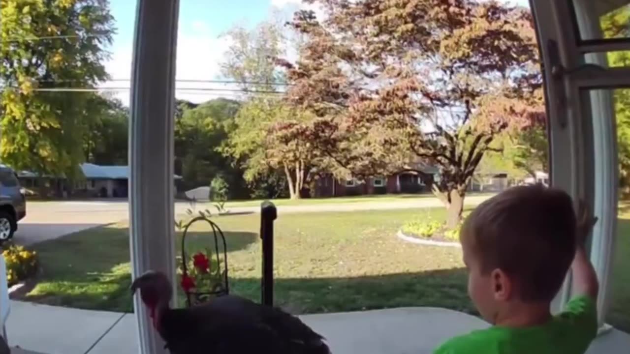 Boy brought home a new friend..