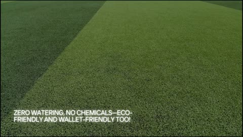 Artificial Grass in Scottsdale, AZ