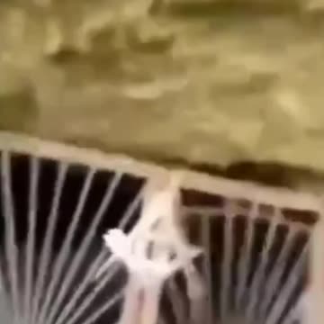 Masonic tunnel uncovered.