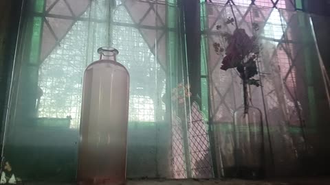 Contacted council safeguarders for phil