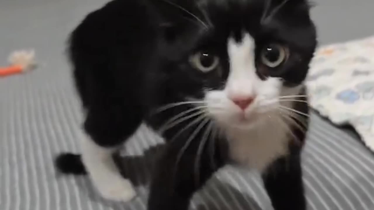 ?
