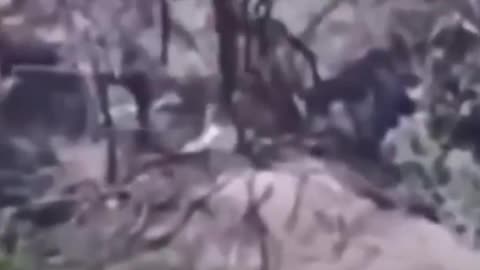 Drones rusos destruyen posiciones secretas de las tropas ucranianas