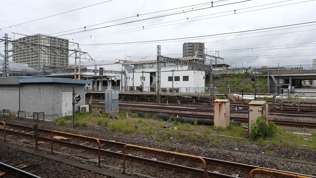 Busy day in Odawara