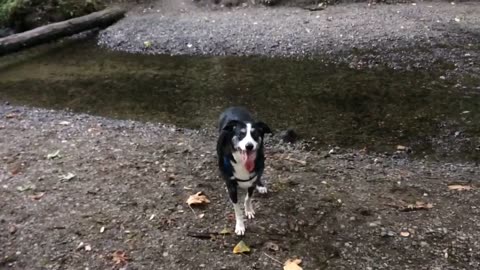 hangin at the stream