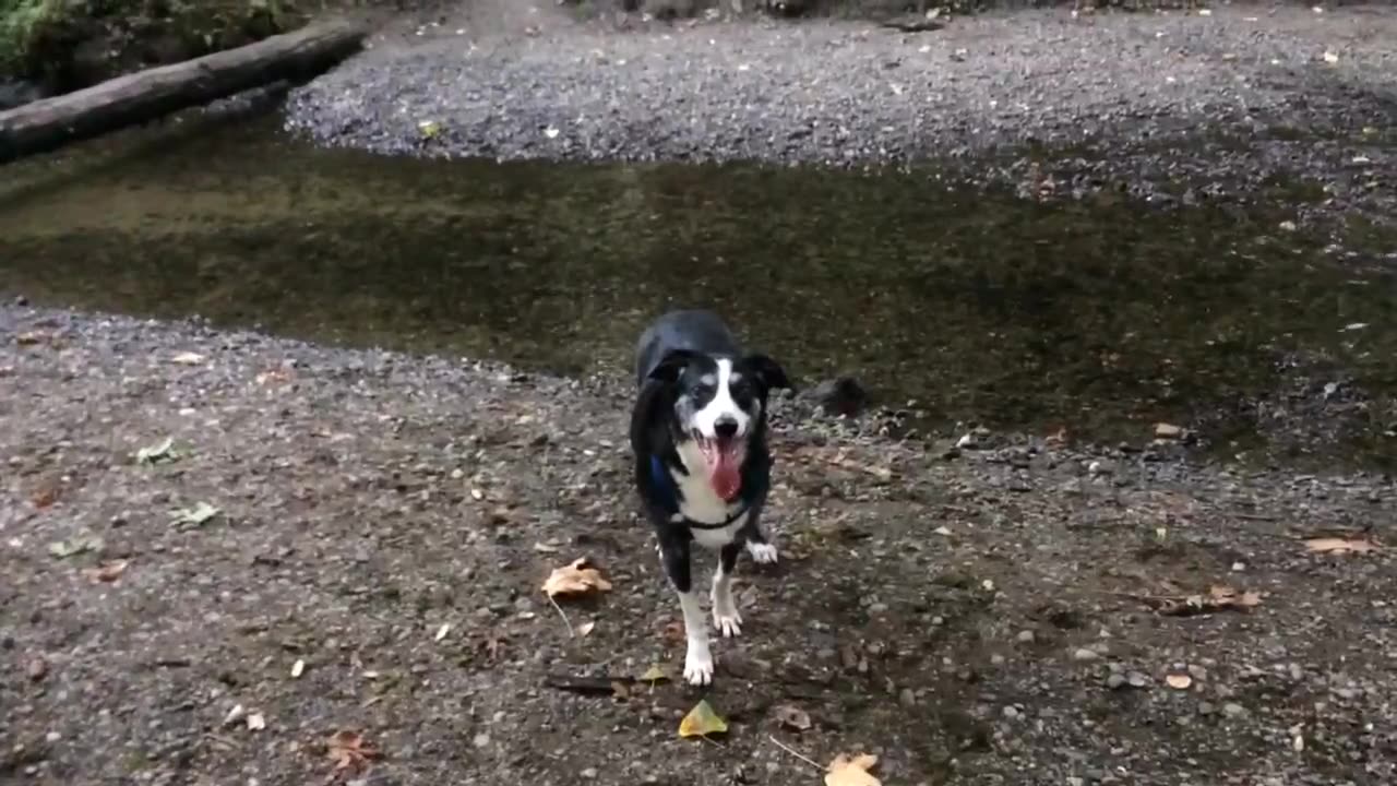 hangin at the stream
