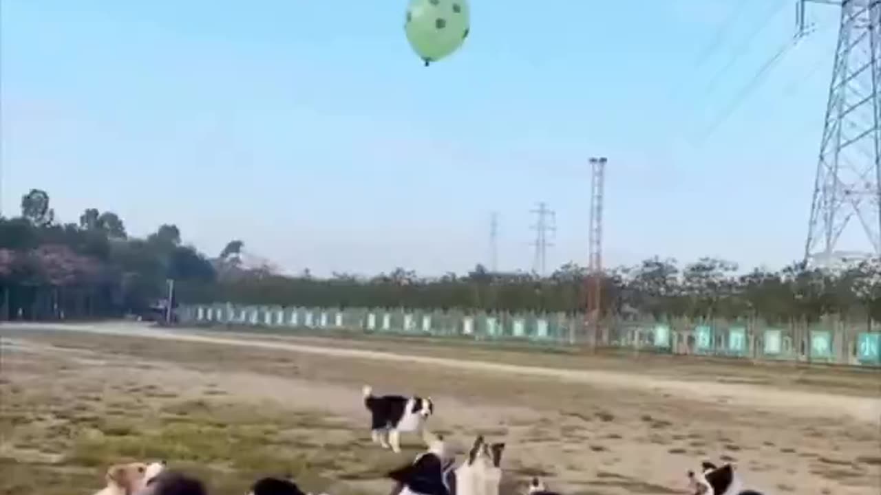 Balloon fun.. 😊