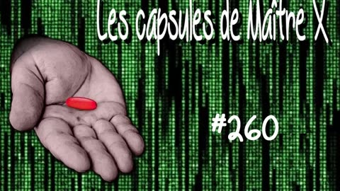 LES CAPSULES JURIDIQUES DE MAÎTRE X (11 décembre 2025) - Maître X - Avocate