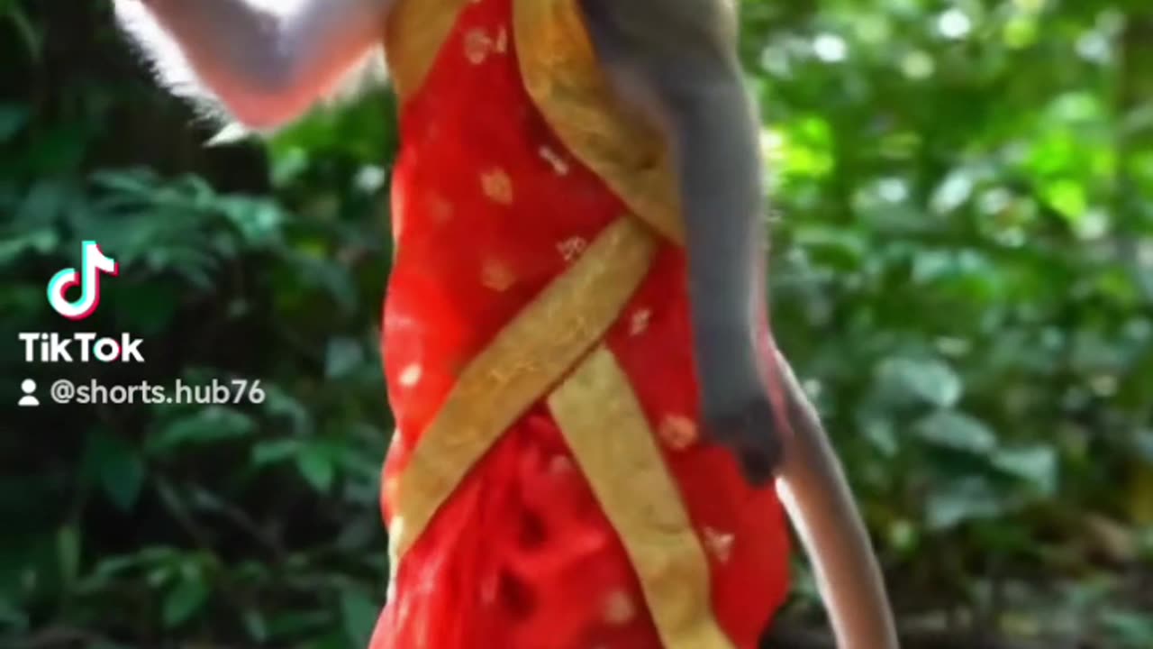 Funny Monkey Dance 🐵🙈🙉🙊