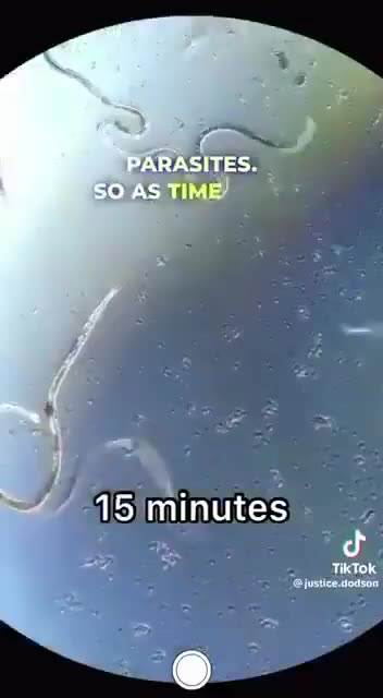 Ivermectin kills parasites in both humans In 2015 it won a Nobel prize for medicine