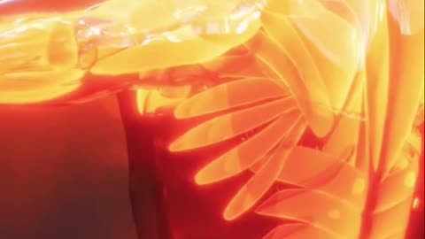 Orange Juice Might Be Healthier Than You Think… Here’s Why