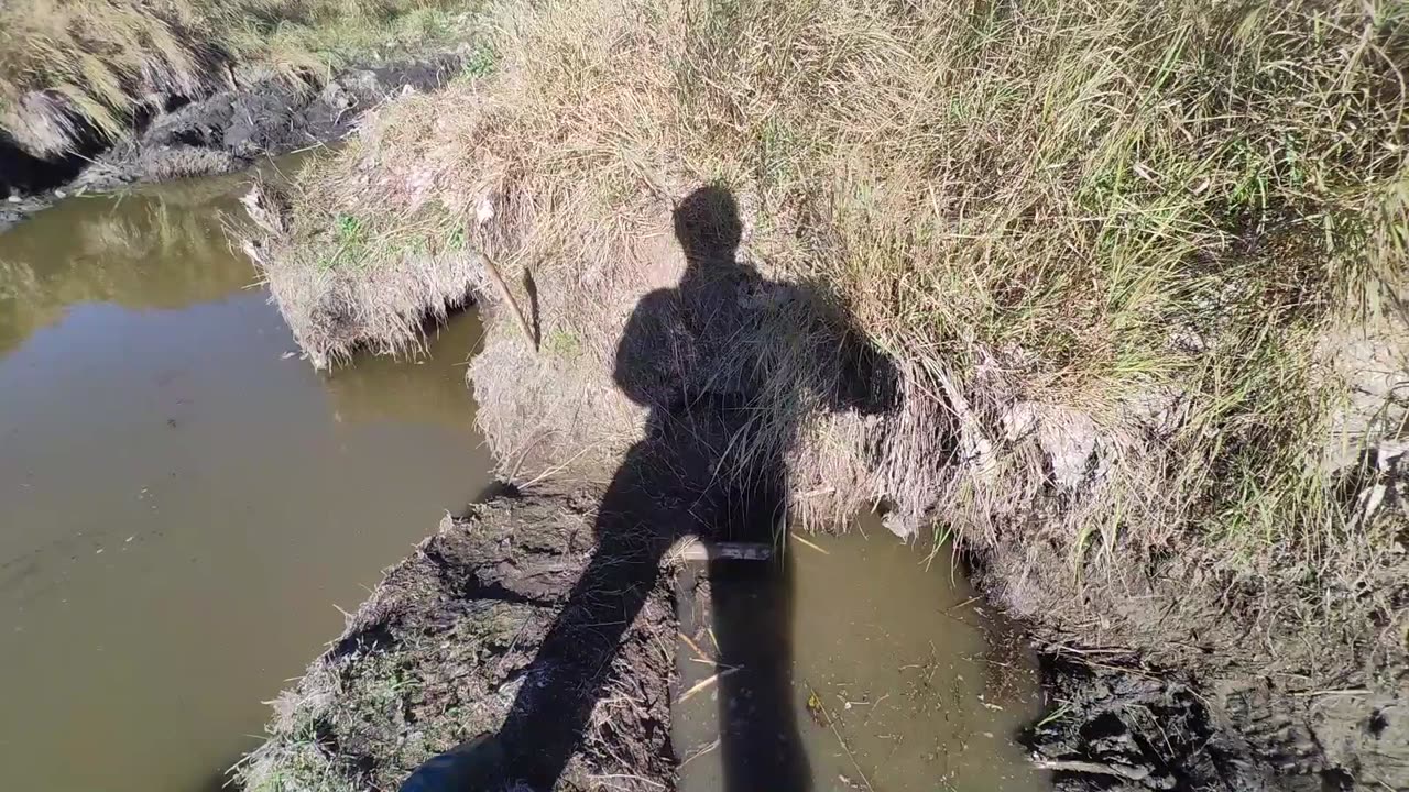 September 26-29, 2025 - New ADC Spots