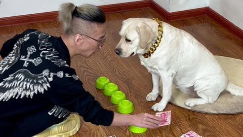 狗界概率学奇迹 Miracles of probability in the dog world