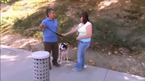 CESAR MILLAN - ZAKLINACZ PSÓW 5 dokument pl