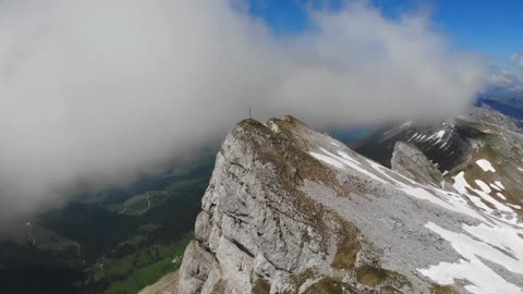 Nature Videos
