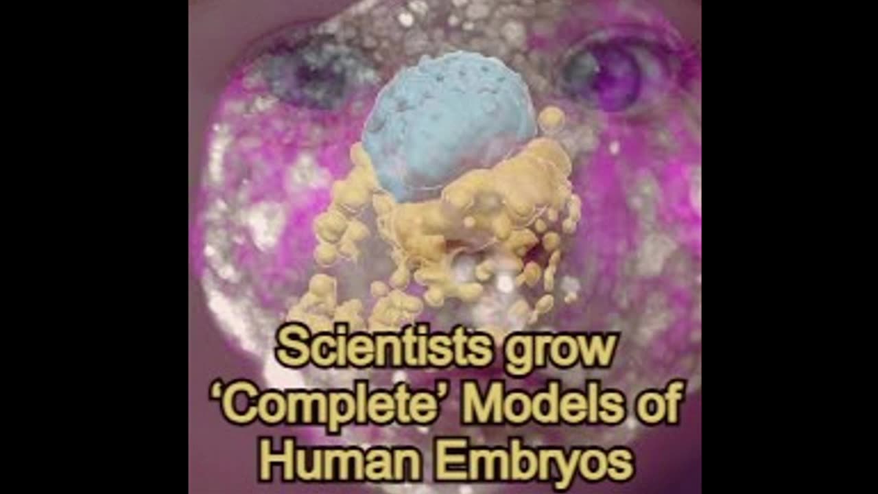 Scientists grow ‘complete’ models of human embryos in lab