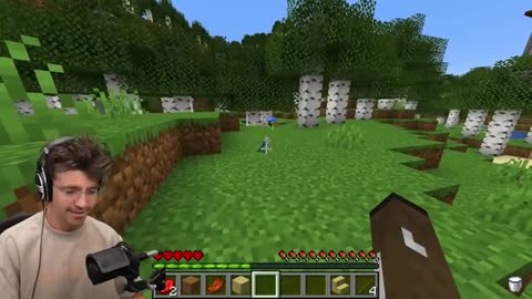 How Minecraft Mobs Act when you leave…