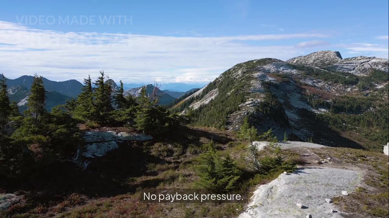 How Twillory Secured $250K in Ad Financing in Days with Revenue Roll