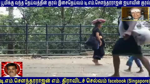 Old Is Gold (evergreen) Tm Soundararajan Legend Vol 43 Ayyappan Song