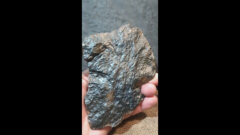 300 million-year-old Fossil sealing
