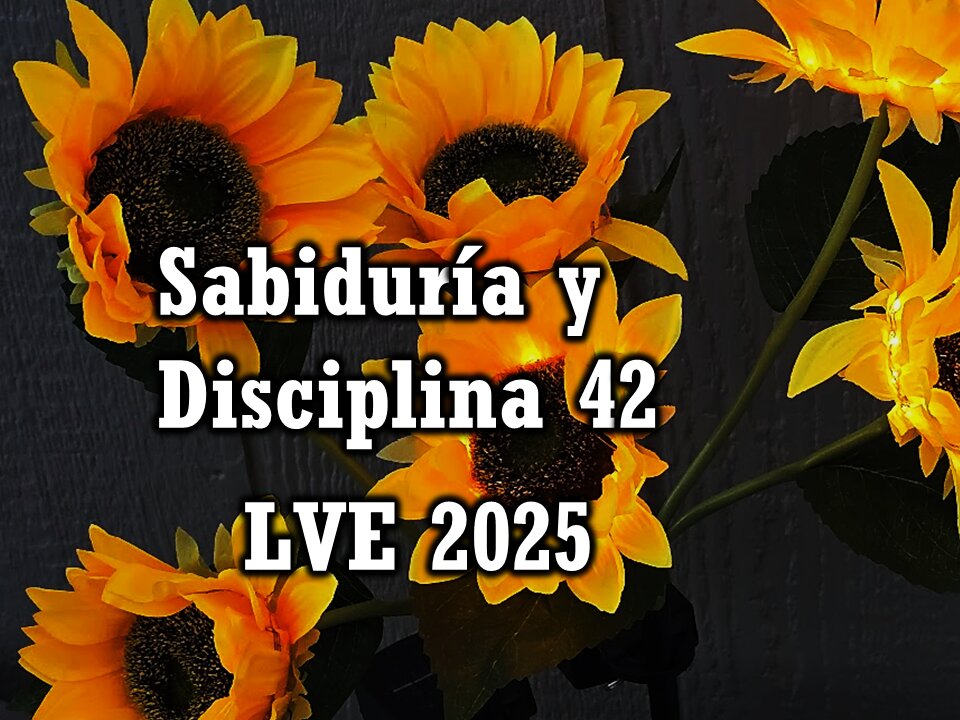 Sabiduría y Disciplina 42