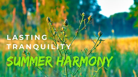 2 minutes of tranquility: Birds Singing to the Rhythm of Our Souls