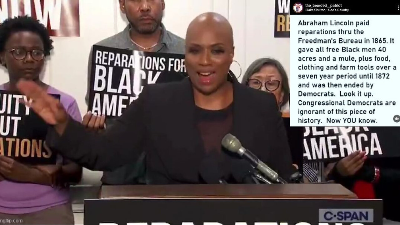 THE COLOSSAL BAIT AND SWITCH ₪ OF REPARATIONS [THE FREEDMAN'S BUREAU]