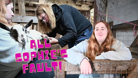 THIS Is All SOPHIE'S Fault!
