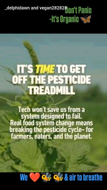 Don't Panic version #2 Save the bees 🐝💛🐝🌱