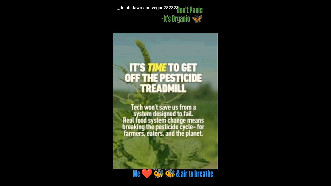 Don't Panic version #2 Save the bees 🐝💛🐝🌱