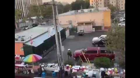 Department of Homeland Security officials took 16 individuals into custody on