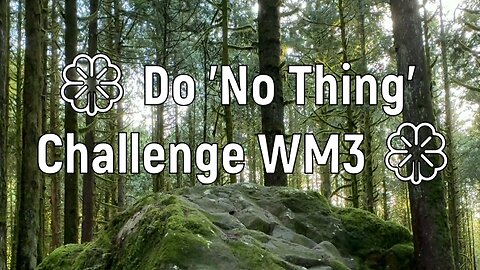🍀 Do 'No Thing' Challenge WM3 🍀 New Earth Creations #giantrocks #donothing #meditationshorts
