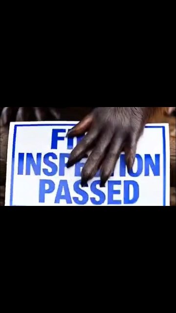 beaver 🦫 construction manager 🚧