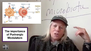 The importance of Purinergic Modulators