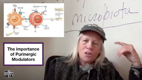 The importance of Purinergic Modulators