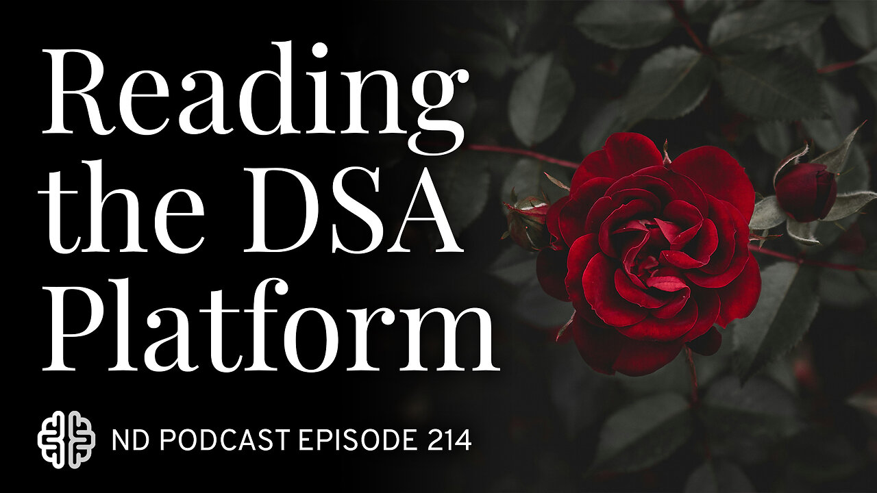 What Is the DSA Platform?