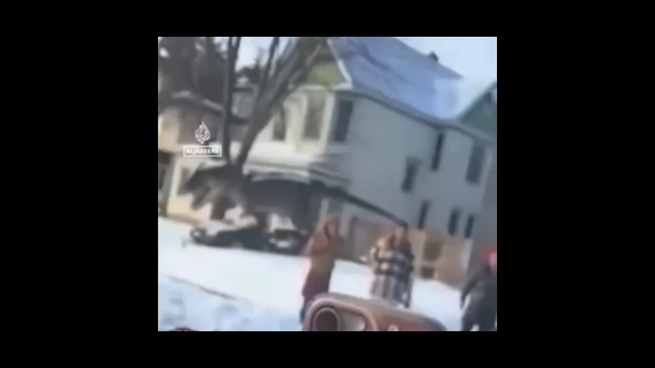 THE FALSE FLAG ICE SHOOTING