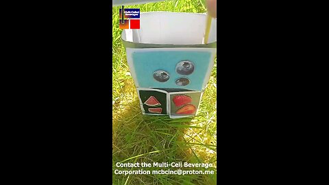 The Multi-Celled Beverage Container
