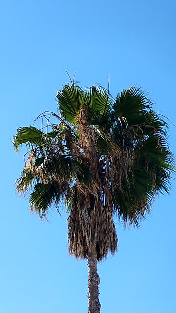 I'd been in a hole so deep, I'd I'd done this