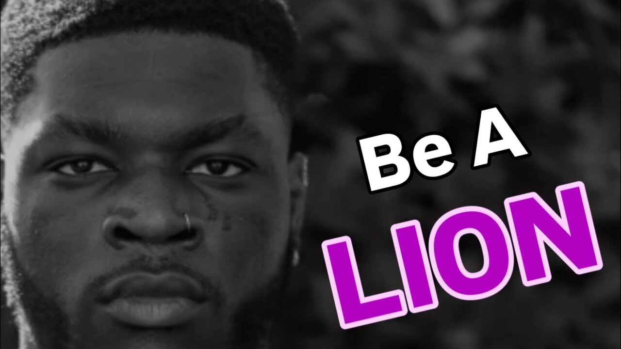 What All Men Can Learn From Lions