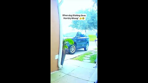 When Dog Walking Goes Wrong🤣#dog#funny#funnyanimals#funnypets#animals #dogsofttiktok