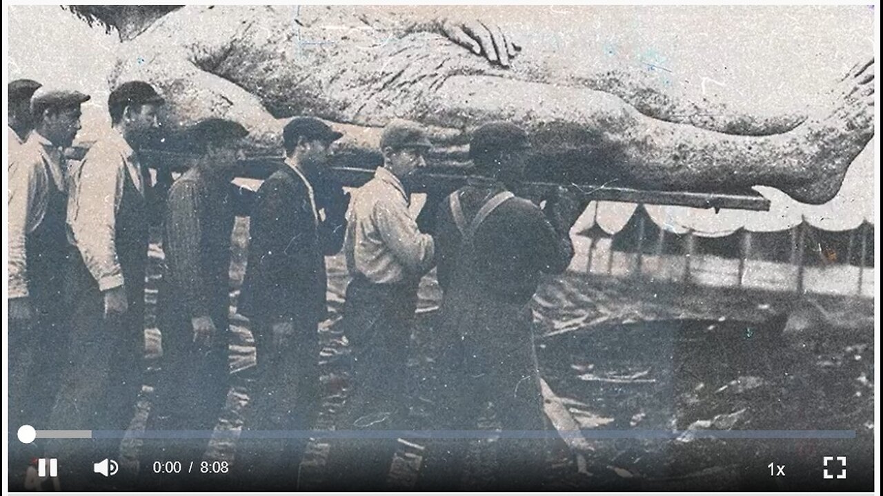 THE WHOLE STORY IS ONLY GETTING MORE BIZARRE… Everything Inside Me