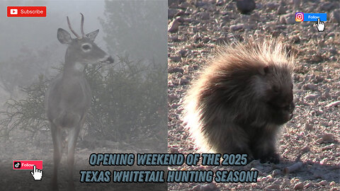 Opening weekend of the Whitetail Hunting Season in Texas 2025