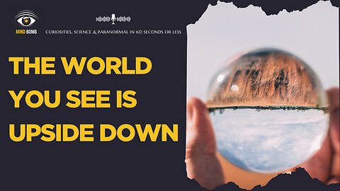 Your Brain Is Lying: The World You See Is Upside Down