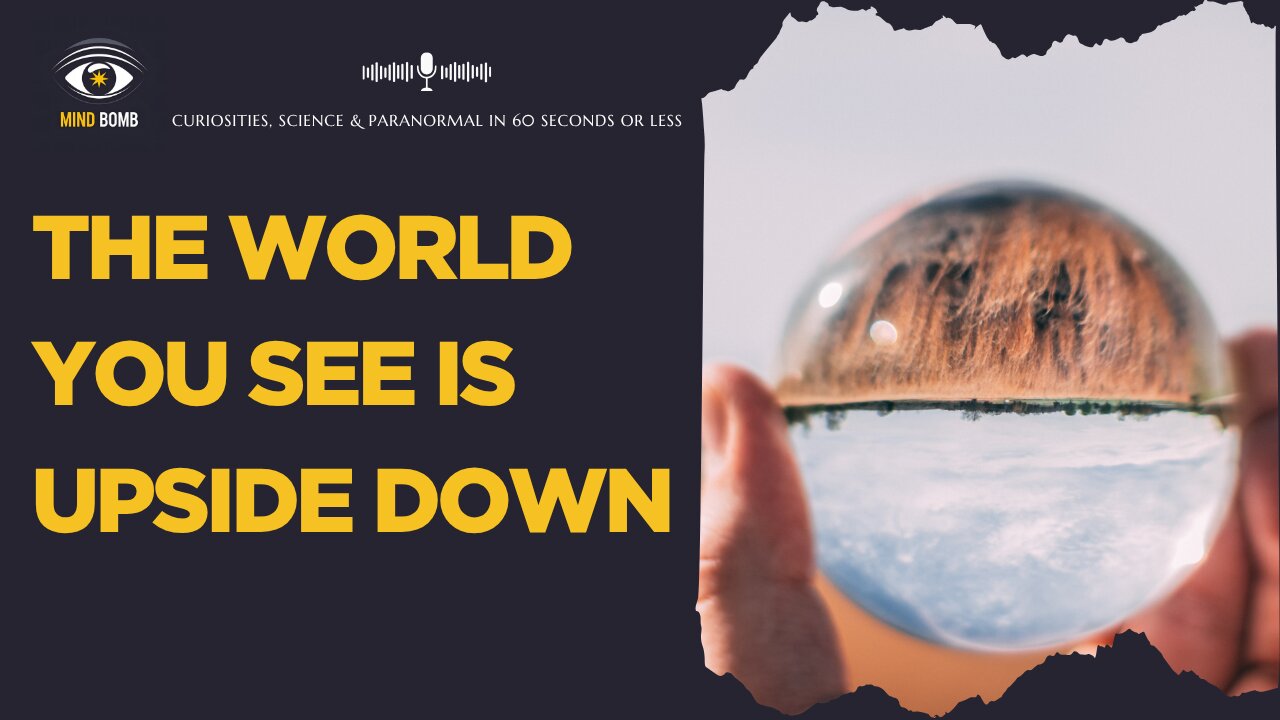 Your Brain Is Lying: The World You See Is Upside Down